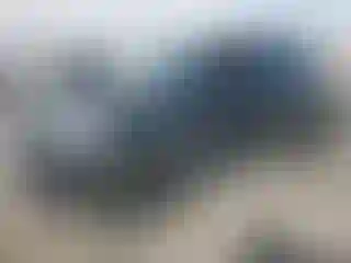 Vehicle Image- 2019 Mini Cooper