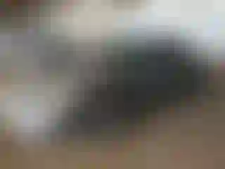 Vehicle Image- 2002 Porche 911