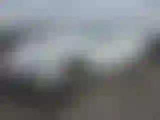 Vehicle Image- 2015 Porche Panamera