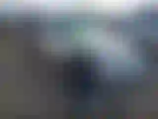 Vehicle Image- 2016 Porche Panamera