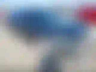 Vehicle Image- 2017 Porche Panamera