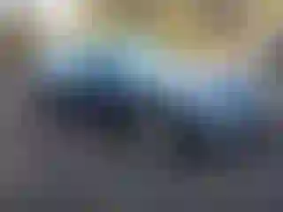 Vehicle Image- 2011 Porche Panamera