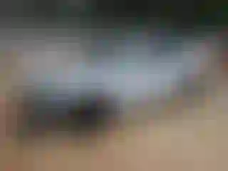 Vehicle Image- 2018 Porche Panamera