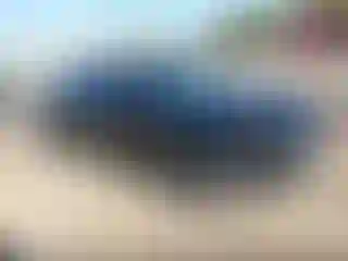 Vehicle Image- 2014 Porche Panamera