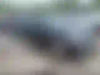 Vehicle Image- 2013 Porche Panamera