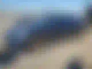 Vehicle Image- 2016 Porche Panamera