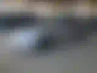 Vehicle Image- 2003 Porche 718 Boxster