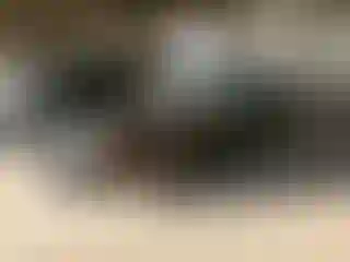 Vehicle Image- 2000 Porche 911