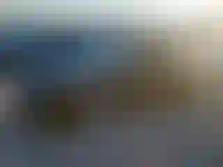 Vehicle Image- 2002 Porche 911