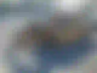 Vehicle Image- 2017 Porche Cayenne