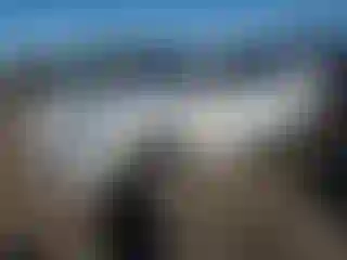 Vehicle Image- 2016 Porche Cayenne