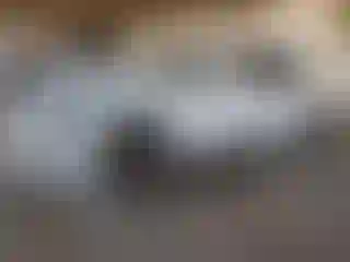 Vehicle Image- 2023 Porche Macan