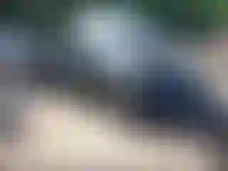 Vehicle Image- 2025 Porche Macan