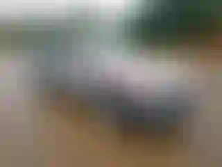 Vehicle Image- 2018 Porche Macan