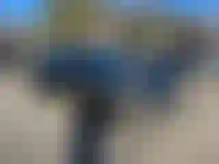 Vehicle Image- 2020 Porche Cayenne