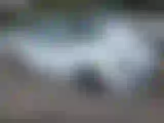 Vehicle Image- 2018 Porche Macan