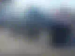 Vehicle Image- 2013 Volkswagen Tiguan