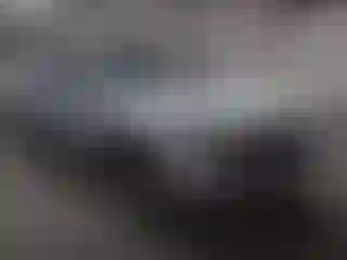 Vehicle Image- 2013 Volkswagen Tiguan