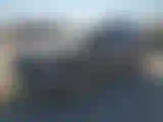 Vehicle Image- 2013 Volkswagen Tiguan