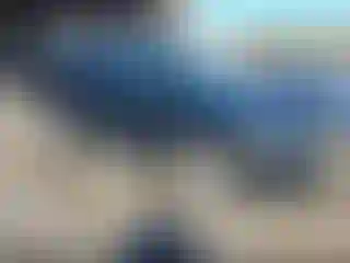 Vehicle Image- 2009 Volkswagen Tiguan