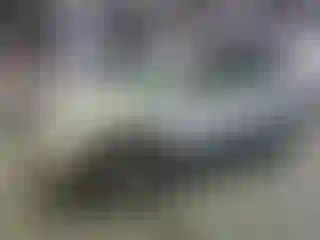 Vehicle Image- 2009 Volkswagen Tiguan