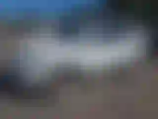 Vehicle Image- 2016 Volkswagen Tiguan