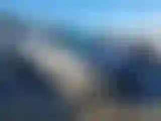 Vehicle Image- 2011 Volkswagen Tiguan