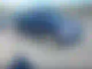 Vehicle Image- 2011 Volkswagen Tiguan