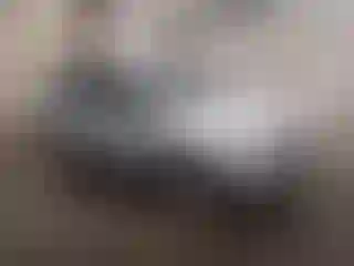 Vehicle Image- 2012 Volkswagen Tiguan