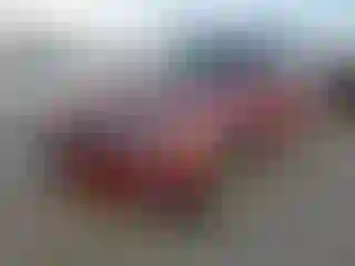 Vehicle Image- 2013 Volkswagen Tiguan