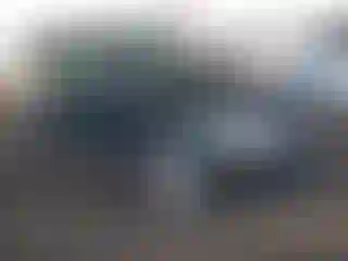 Vehicle Image- 2011 Volkswagen Tiguan