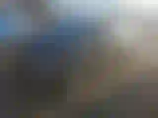 Vehicle Image- 2012 Volkswagen Tiguan