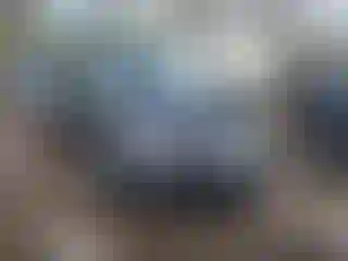 Vehicle Image- 2011 Volkswagen Tiguan