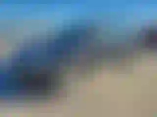 Vehicle Image- 2010 Volkswagen Tiguan