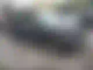 Vehicle Image- 2013 Volkswagen Tiguan