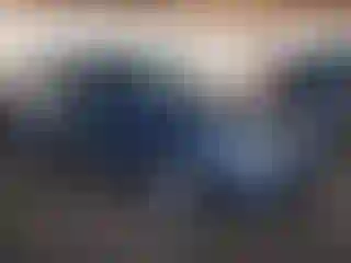 Vehicle Image- 2014 Volkswagen Tiguan