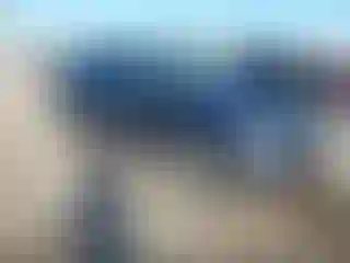 Vehicle Image- 2013 Volkswagen Tiguan