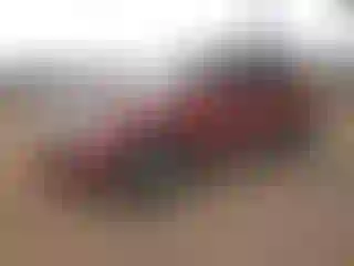 Vehicle Image- 2014 Volkswagen Tiguan