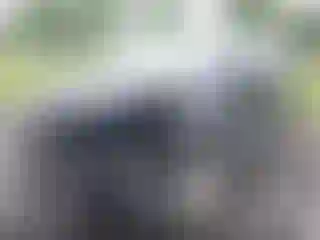 IMPORTOWO.pl