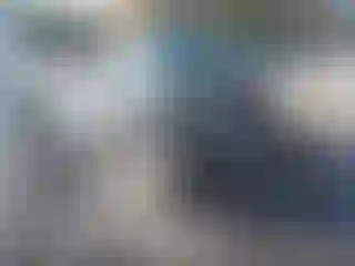 Vehicle Image- 2014 Volkswagen Tiguan