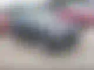 Vehicle Image- 2013 Volkswagen Tiguan