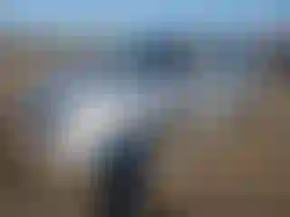 Vehicle Image- 2009 Volkswagen Tiguan