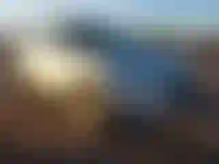 Vehicle Image- 2009 Volkswagen Tiguan