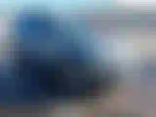 Vehicle Image- 2009 Volkswagen Tiguan