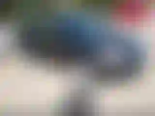 Vehicle Image- 2009 Volkswagen Tiguan