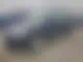 Vehicle Image- 2011 Volkswagen Tiguan