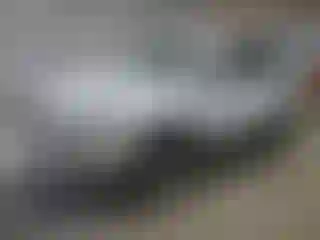 Vehicle Image- 2010 Volkswagen Tiguan