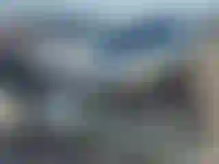 Vehicle Image- 2011 Volkswagen Tiguan