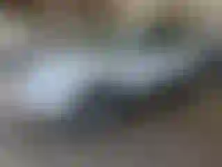 Vehicle Image- 2016 Volkswagen Tiguan