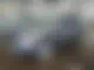 Vehicle Image- 2016 Volkswagen Tiguan